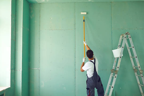 Best Basement Mold Removal  in Centerville, MN