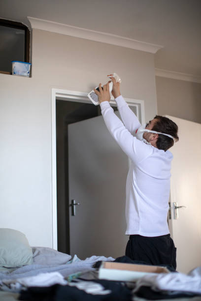 Trusted Centerville, MN Mold Removal Experts