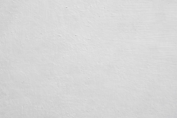 Best Environmental Consulting for Mold Prevention  in Centerville, MN
