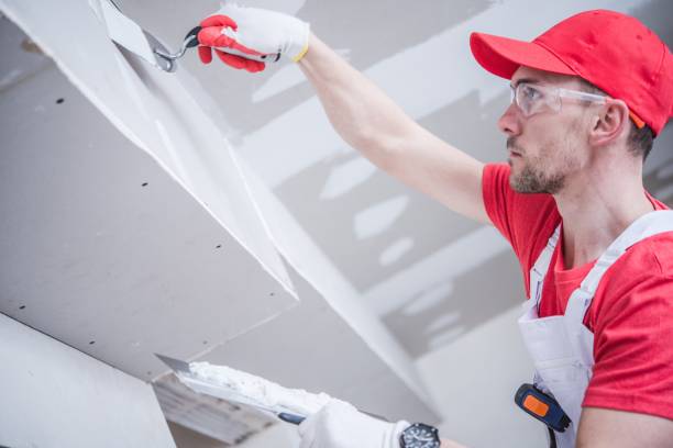Best Post-Construction Mold Inspection  in Centerville, MN